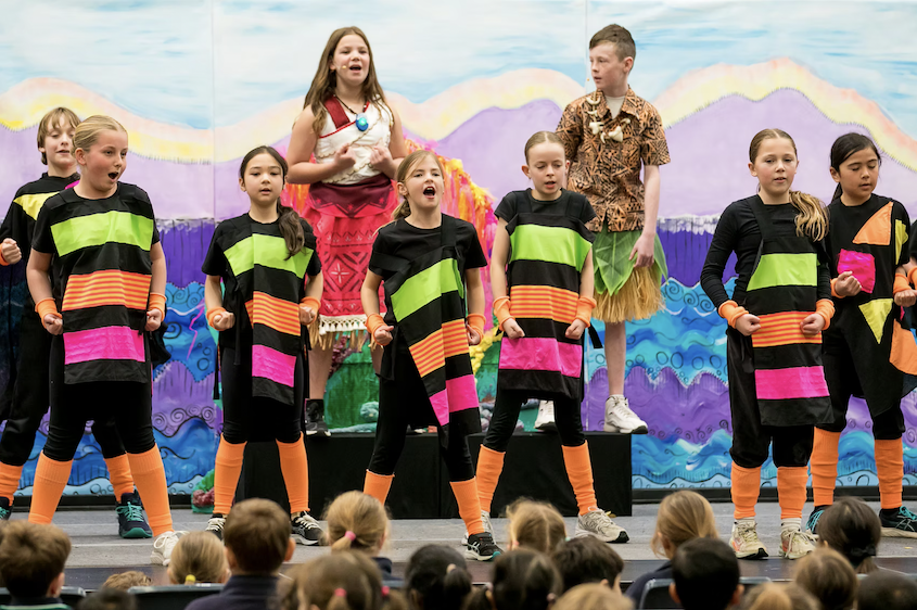 /uploaded_files/media/gallery/1774240284Moana 13.png